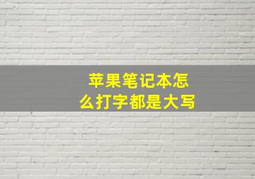 苹果笔记本怎么打字都是大写