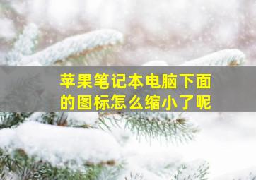 苹果笔记本电脑下面的图标怎么缩小了呢