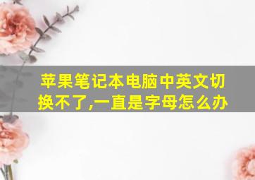 苹果笔记本电脑中英文切换不了,一直是字母怎么办