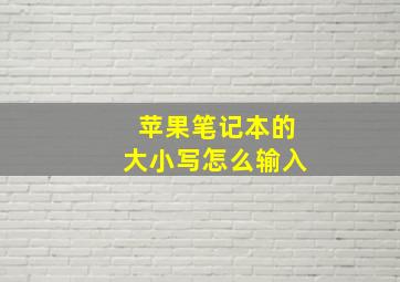 苹果笔记本的大小写怎么输入