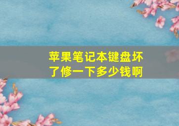 苹果笔记本键盘坏了修一下多少钱啊