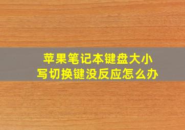 苹果笔记本键盘大小写切换键没反应怎么办