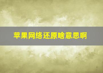 苹果网络还原啥意思啊