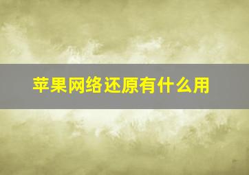 苹果网络还原有什么用