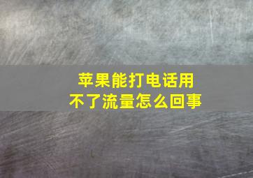 苹果能打电话用不了流量怎么回事