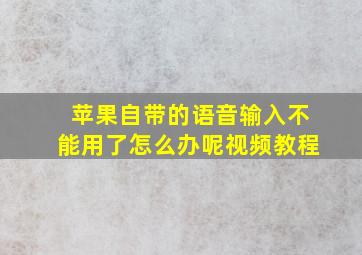 苹果自带的语音输入不能用了怎么办呢视频教程