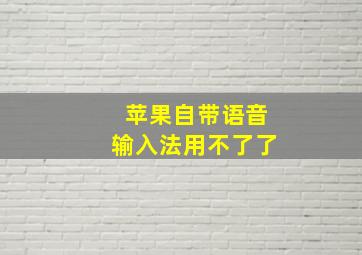 苹果自带语音输入法用不了了