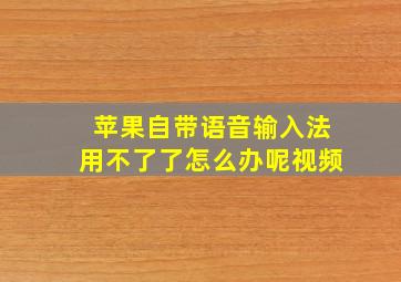 苹果自带语音输入法用不了了怎么办呢视频