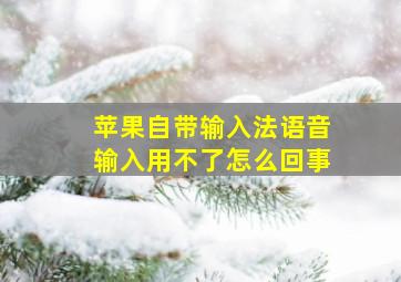 苹果自带输入法语音输入用不了怎么回事