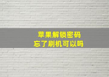 苹果解锁密码忘了刷机可以吗