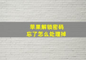 苹果解锁密码忘了怎么处理掉