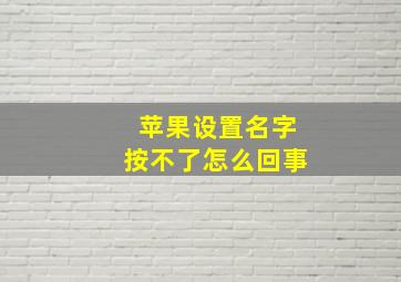 苹果设置名字按不了怎么回事