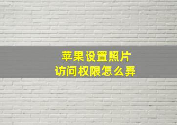 苹果设置照片访问权限怎么弄