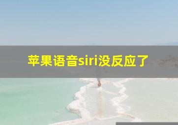 苹果语音siri没反应了