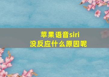 苹果语音siri没反应什么原因呢