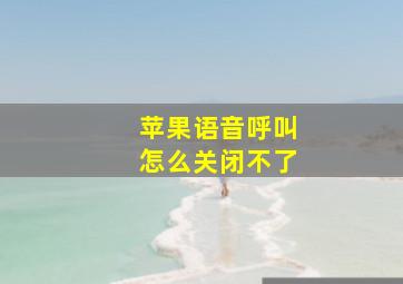 苹果语音呼叫怎么关闭不了