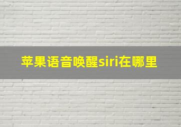 苹果语音唤醒siri在哪里