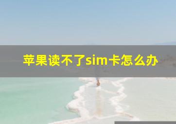 苹果读不了sim卡怎么办