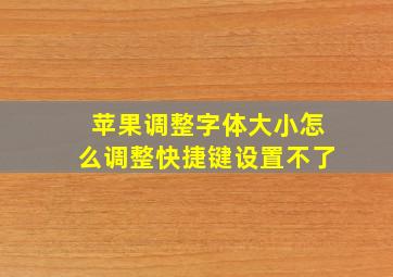 苹果调整字体大小怎么调整快捷键设置不了