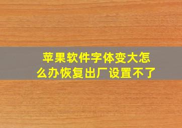 苹果软件字体变大怎么办恢复出厂设置不了