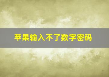 苹果输入不了数字密码