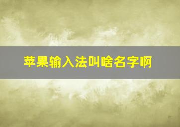 苹果输入法叫啥名字啊