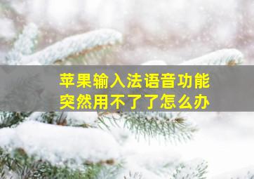 苹果输入法语音功能突然用不了了怎么办