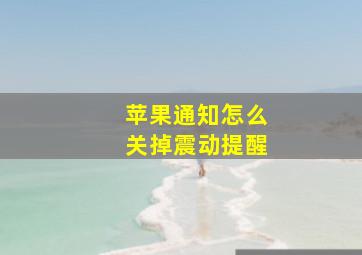 苹果通知怎么关掉震动提醒