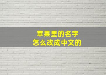 苹果里的名字怎么改成中文的