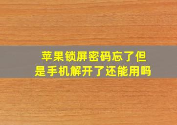 苹果锁屏密码忘了但是手机解开了还能用吗