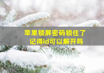 苹果锁屏密码锁住了记得id可以解开吗