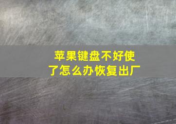 苹果键盘不好使了怎么办恢复出厂