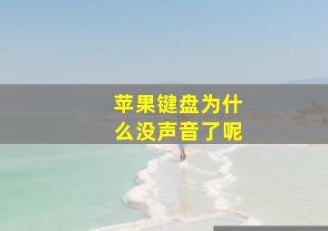 苹果键盘为什么没声音了呢