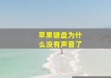 苹果键盘为什么没有声音了