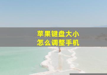 苹果键盘大小怎么调整手机