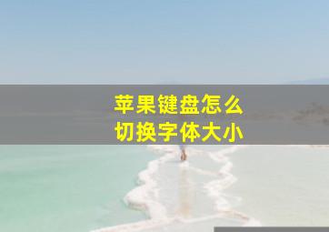 苹果键盘怎么切换字体大小