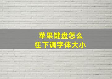 苹果键盘怎么往下调字体大小