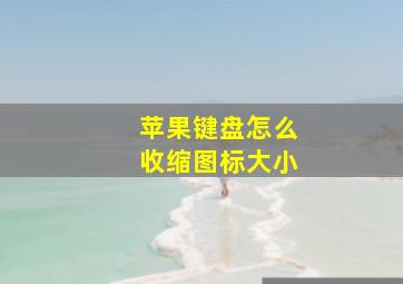 苹果键盘怎么收缩图标大小