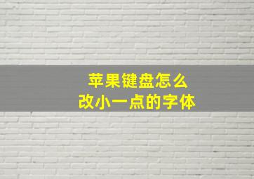 苹果键盘怎么改小一点的字体