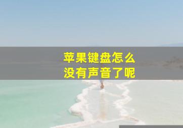 苹果键盘怎么没有声音了呢