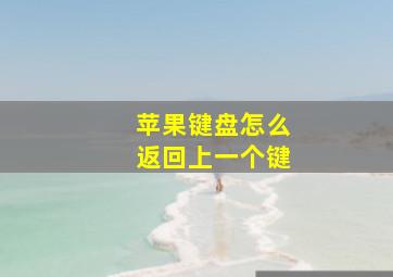 苹果键盘怎么返回上一个键