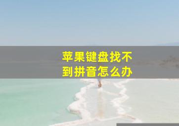 苹果键盘找不到拼音怎么办