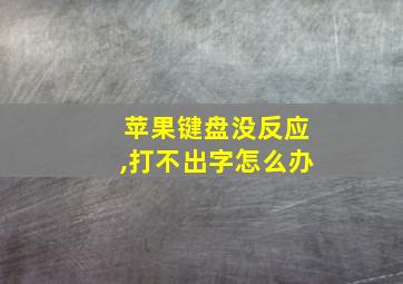 苹果键盘没反应,打不出字怎么办