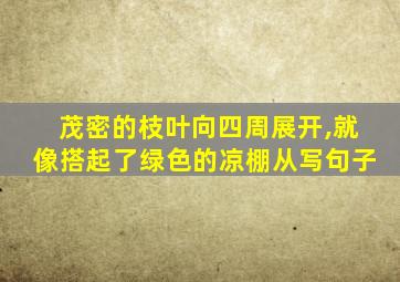 茂密的枝叶向四周展开,就像搭起了绿色的凉棚从写句子