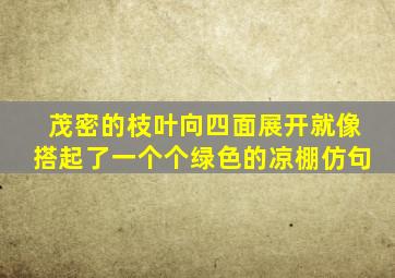 茂密的枝叶向四面展开就像搭起了一个个绿色的凉棚仿句