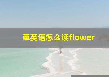 草英语怎么读flower