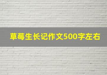 草莓生长记作文500字左右