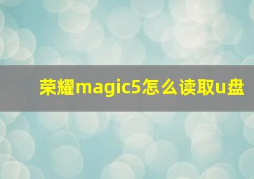 荣耀magic5怎么读取u盘