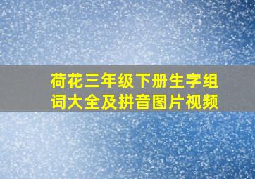 荷花三年级下册生字组词大全及拼音图片视频