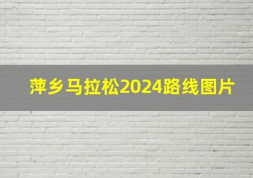 萍乡马拉松2024路线图片